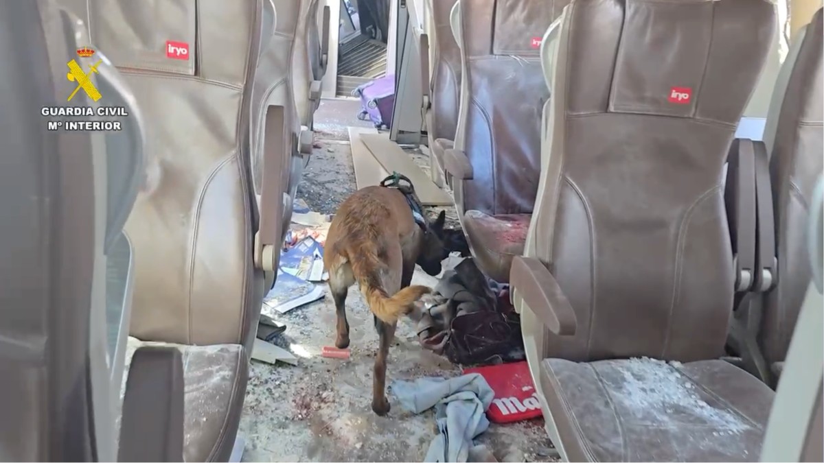 VÍDEO | La Guardia Civil inspecciona junto con un perro el tren Iryo accidentado