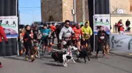 La Diputación de Salamanca convoca el IX Circuito Provincial de Canicross