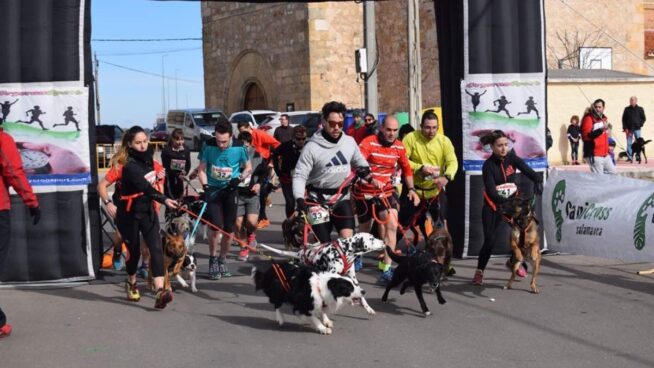 La Diputación de Salamanca convoca el IX Circuito Provincial de Canicross