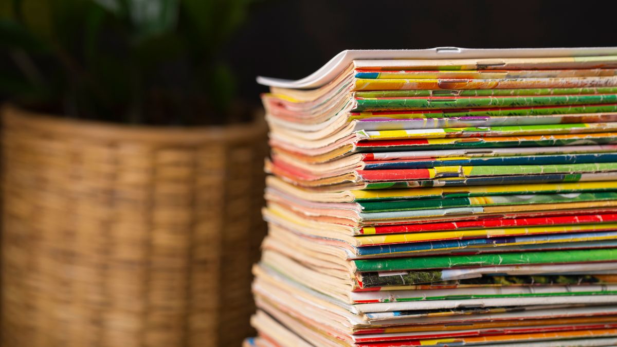 A mi inolvidable compañera de escalofríos