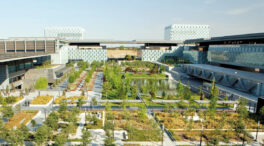 Telefónica progresa en su estrategia de digitalización responsable en 2025