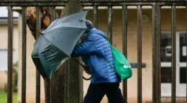 La borrasca 'Ingrid' deja más de 130 incidencias en Galicia: caídas de árboles y accidentes