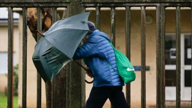 La borrasca 'Ingrid' deja más de 130 incidencias en Galicia: caídas de árboles y accidentes