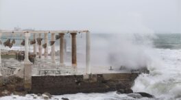 Muere una mujer tras caerle una palmera en Torremolinos (Málaga) debido al viento