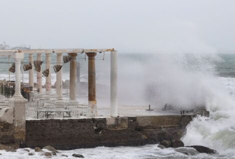 Muere una mujer tras caerle una palmera en Torremolinos (Málaga) debido al viento