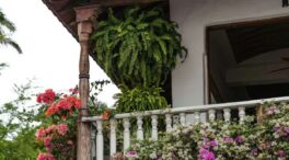 Agua y pimienta en el balcón: el truco para mantenerlo limpio y ahuyentar a las palomas