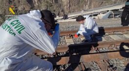 Se elevan a 45 los muertos en Adamuz tras localizar a los dos últimos desaparecidos