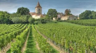 Burdeos, al borde del abismo