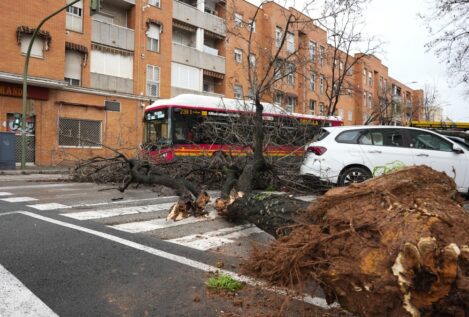 La UME moviliza 250 militares y 90 vehículos en Andalucía ante los efectos de la borrasca