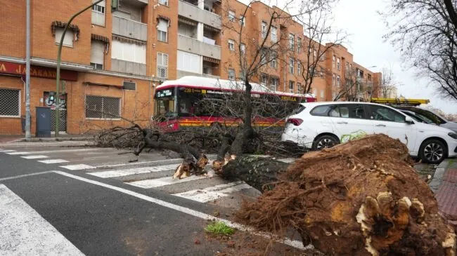 La UME moviliza 250 militares y 90 vehículos en Andalucía ante los efectos de la borrasca