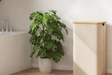 Los mejores cestos para ropa sucia: organiza tu casa con estilo y funcionalidad