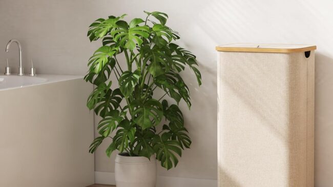 Los mejores cestos para ropa sucia: organiza tu casa con estilo y funcionalidad