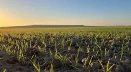 Ayudas de las PAC con menos requisitos ante las adversidades meteorológicas extremas