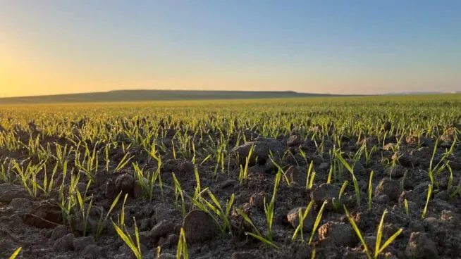 Ayudas de las PAC con menos requisitos ante las adversidades meteorológicas extremas