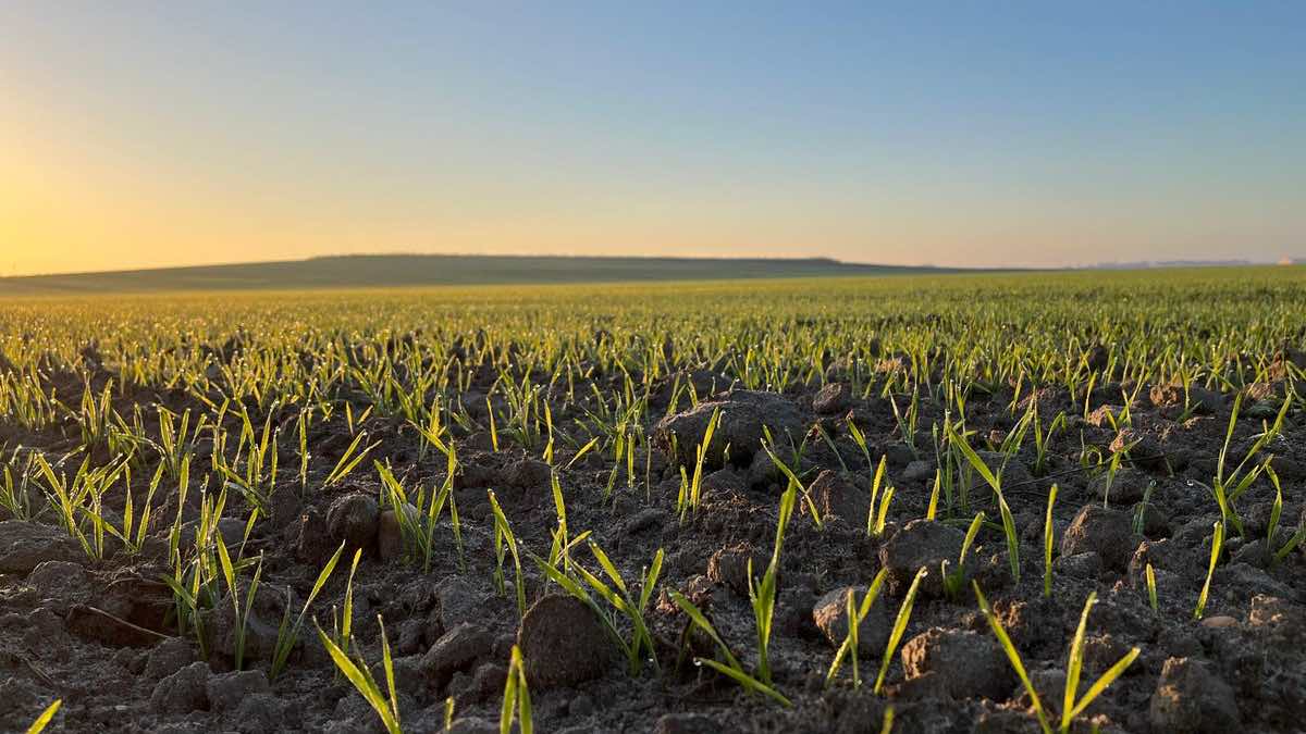 Ayudas de las PAC con menos requisitos ante las adversidades meteorológicas extremas