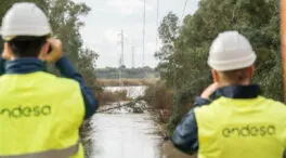 Endesa eleva a 35,5 millones su inversión en reforzar su red de distribución este invierno