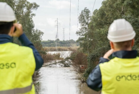 Endesa eleva a 35,5 millones su inversión en reforzar su red de distribución este invierno