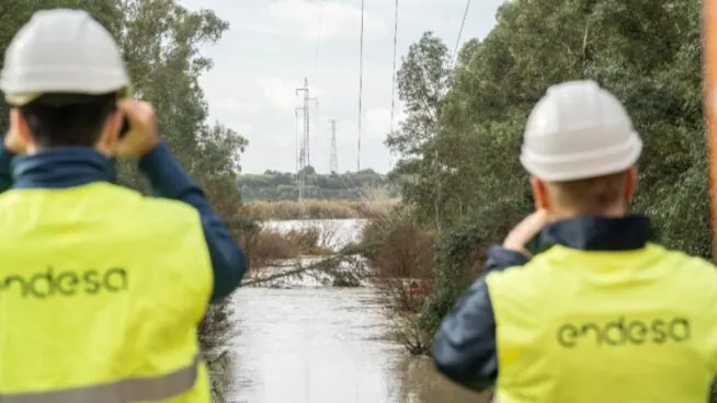 Endesa eleva a 35,5 millones su inversión en reforzar su red de distribución este invierno
