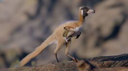 Un fósil revela los secretos de un enigmático grupo de dinosaurios: los alvarezsaurios