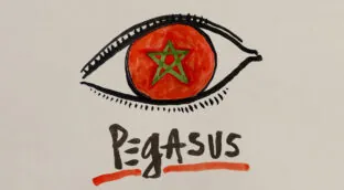 La viñeta sobre... Pegasus