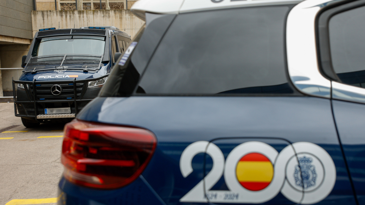 Detenidos 13 presuntos miembros de un grupo criminal por robos con fuerza en Madrid