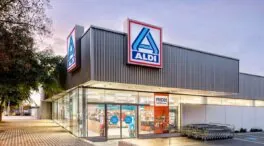 Adiós a la freidora de aire: la próxima semana llega a Aldi el electrodoméstico alternativo con más espacio y a precio tentador