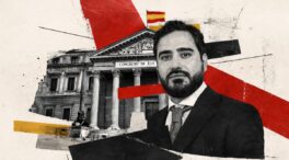 Alvise podría conseguir un escaño en el Congreso, según el 'Votómetro'