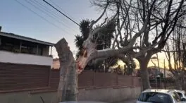 El fuerte viento en Cataluña cancela vuelos, paraliza carreteras y Rodalies y deja heridos