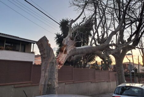 El fuerte viento en Cataluña cancela vuelos, paraliza carreteras y Rodalies y deja heridos