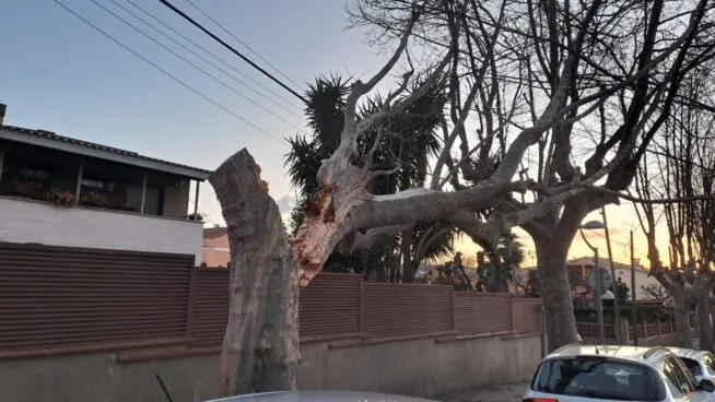 El fuerte viento en Cataluña cancela vuelos, paraliza carreteras y Rodalies y deja heridos