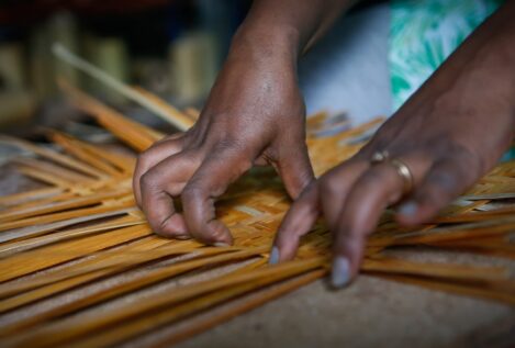 España envió en 2025 casi un millón a Etiopía para bambú y café con enfoque de género