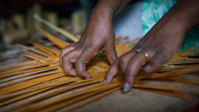 España envió en 2025 casi un millón a Etiopía para bambú y café con enfoque de género