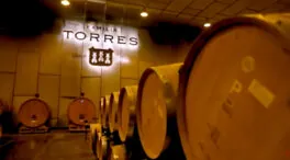 Bodegas Familia Torres: del Juicio de París al liderazgo en viticultura regenerativa
