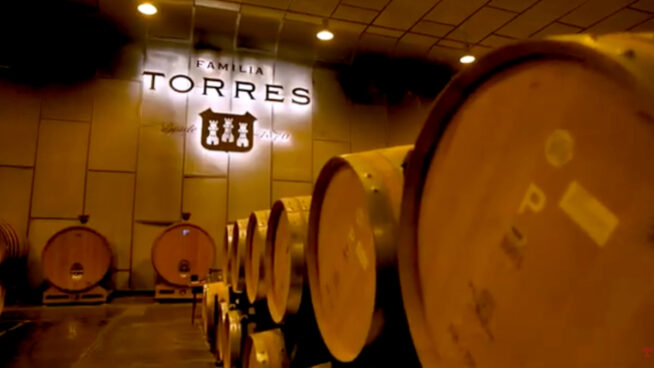 Bodegas Familia Torres: del Juicio de París al liderazgo en viticultura regenerativa