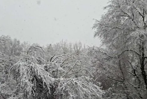 Cada copo que cae es una suerte