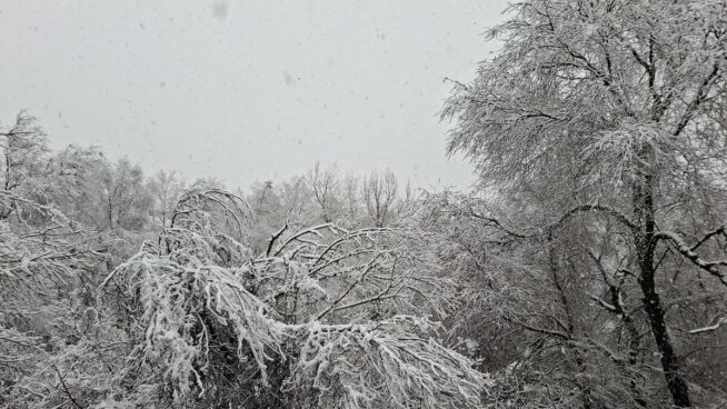 Cada copo que cae es una suerte