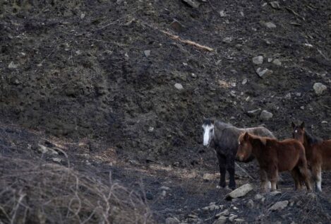 El Gobierno de Cantabria rebaja el nivel de alerta por los incendios forestales