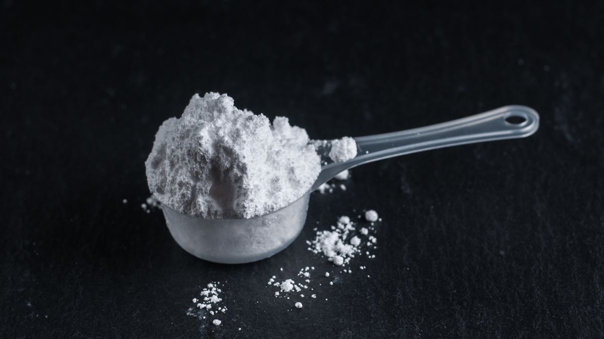 Elisa Blázquez, nutricionista especializada en microbiota: «Una de las claves para que la creatina funcione es la constancia»