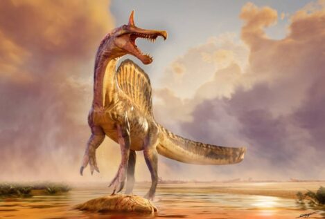 Descubren una especie de dinosaurio con una cresta en forma de sable