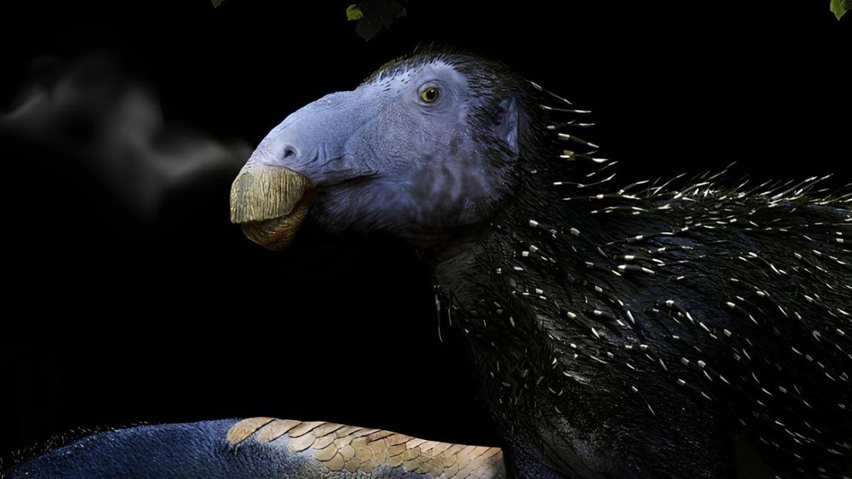 Descubren un dinosaurio herbívoro con una estructura defensiva única