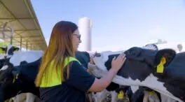 Pascual, compromiso familiar y medio siglo de decisiones acertadas