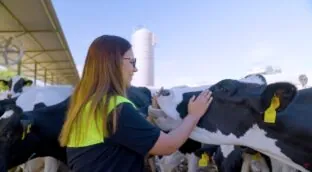 Pascual, compromiso familiar y medio siglo de decisiones acertadas