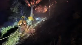 Declarado un incendio forestal en el paraje natural de Cabo Tiñoso (Cartagena)