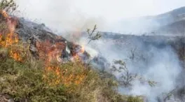 Mejora la situación de los incendios forestales en Cantabria, con siete activos y 14 controlados