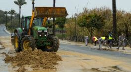 El tren de borrascas deja ya en Andalucía 10.613 emergencias y superan los 11.000 desalojados