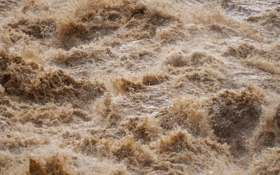 Vinieron las lluvias