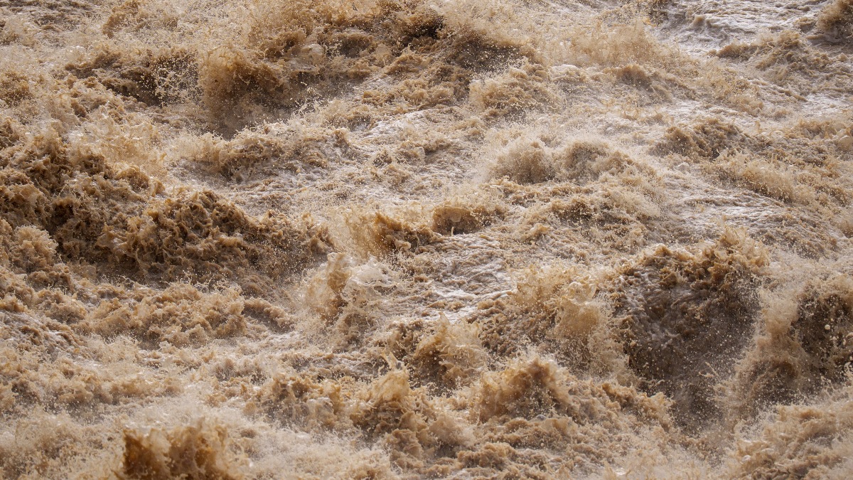 Vinieron las lluvias