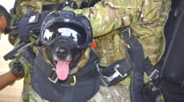 El soldado español que asombra a la OTAN, se tira en paracaídas y anda a cuatro patas