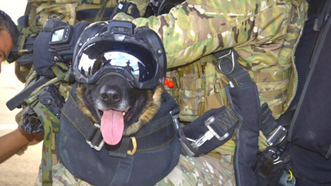 El soldado español que asombra a la OTAN, se tira en paracaídas y anda a cuatro patas