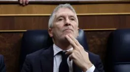 Marlaska, sobre el DAO: «No sabíamos nada y, ante la gravedad, se pidió la renuncia»